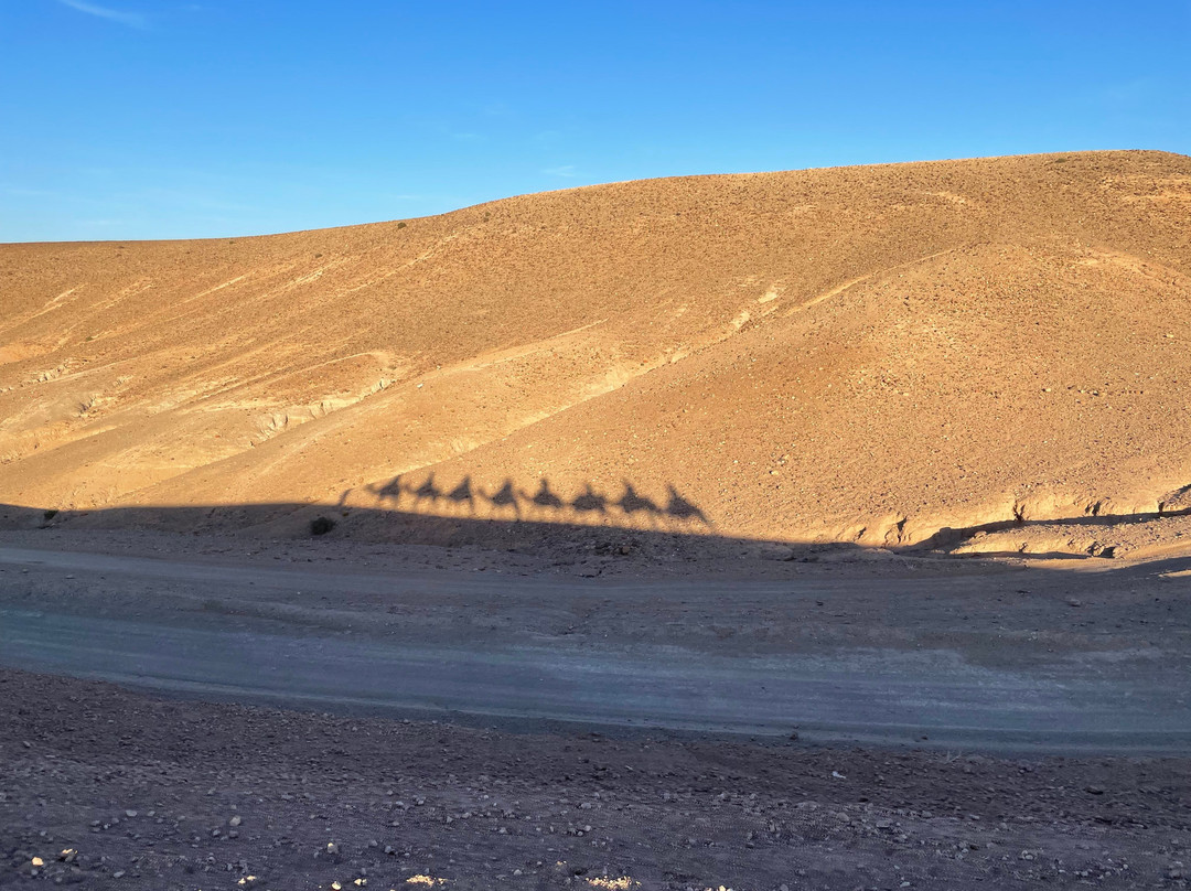 Oujdani Marrakech Tours-马拉喀什必去景点