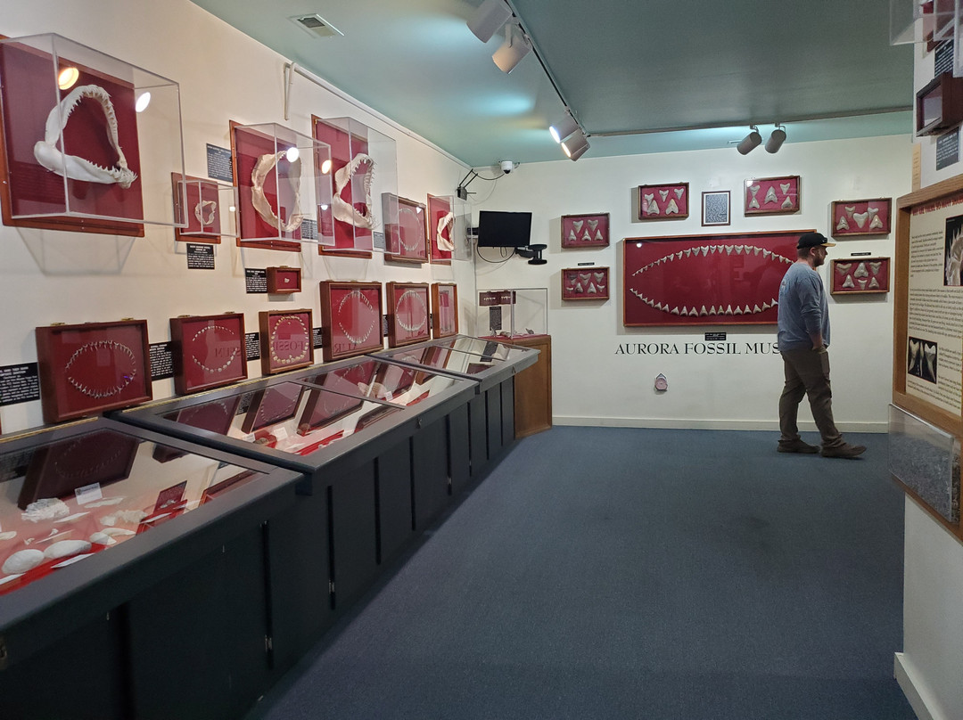 Aurora Fossil Museum景点图片
