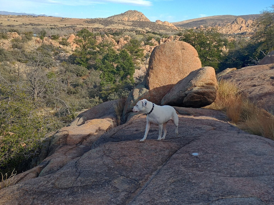 Constellation Trails-普雷斯科特必去景点