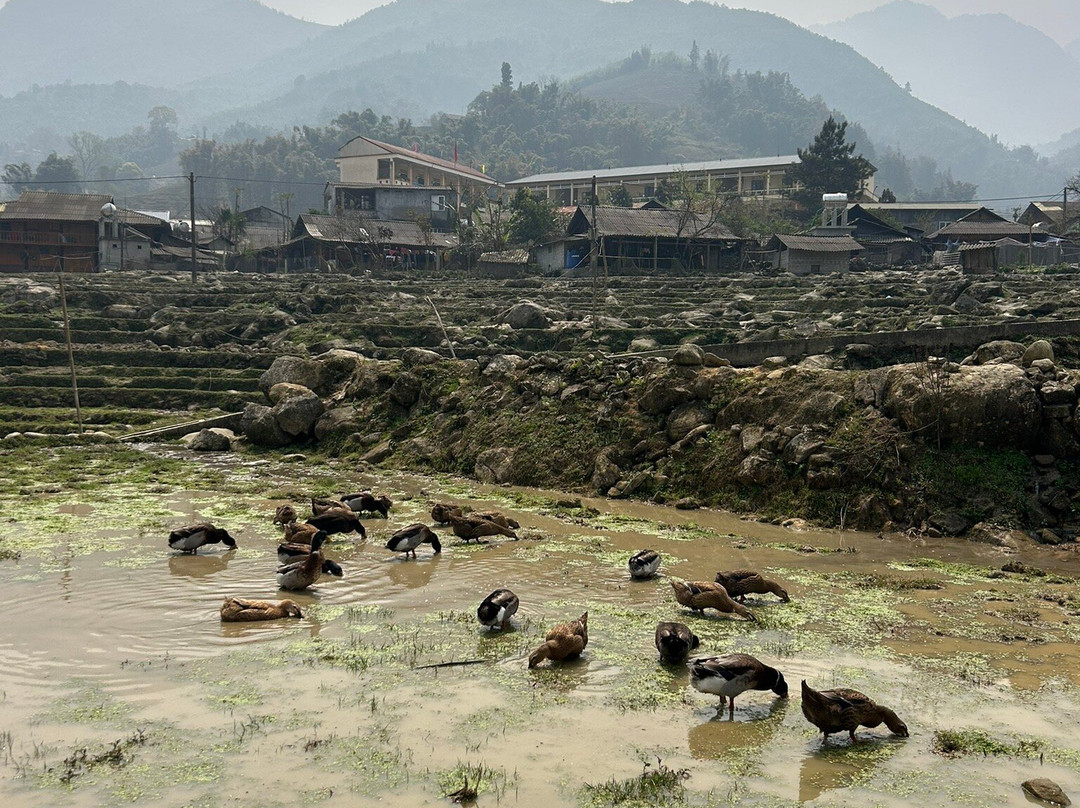 Sapa Trekking Mama Zuzu-沙巴必去景点