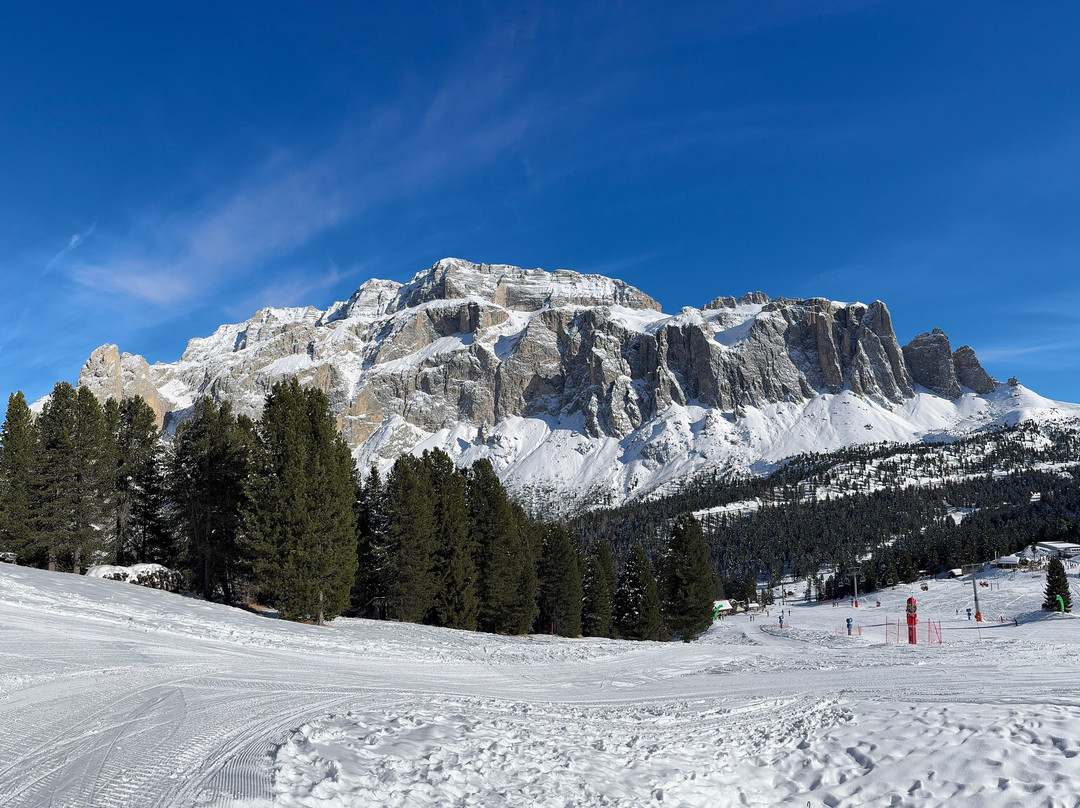 Pensione Amalia主图