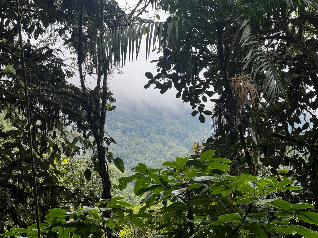 Mindo Canopy Adventure景点图片