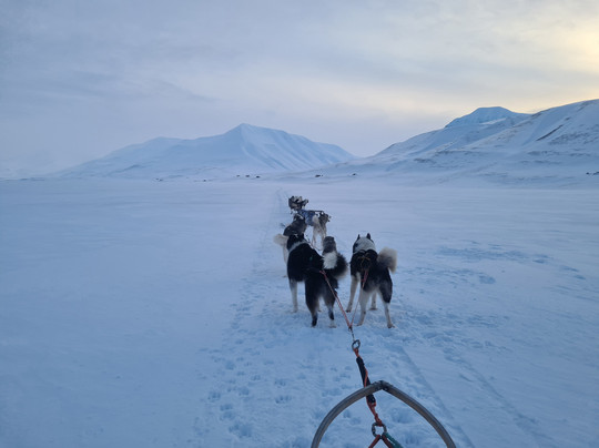 Basecamp Explorer Spitsbergen-朗伊尔城必去景点