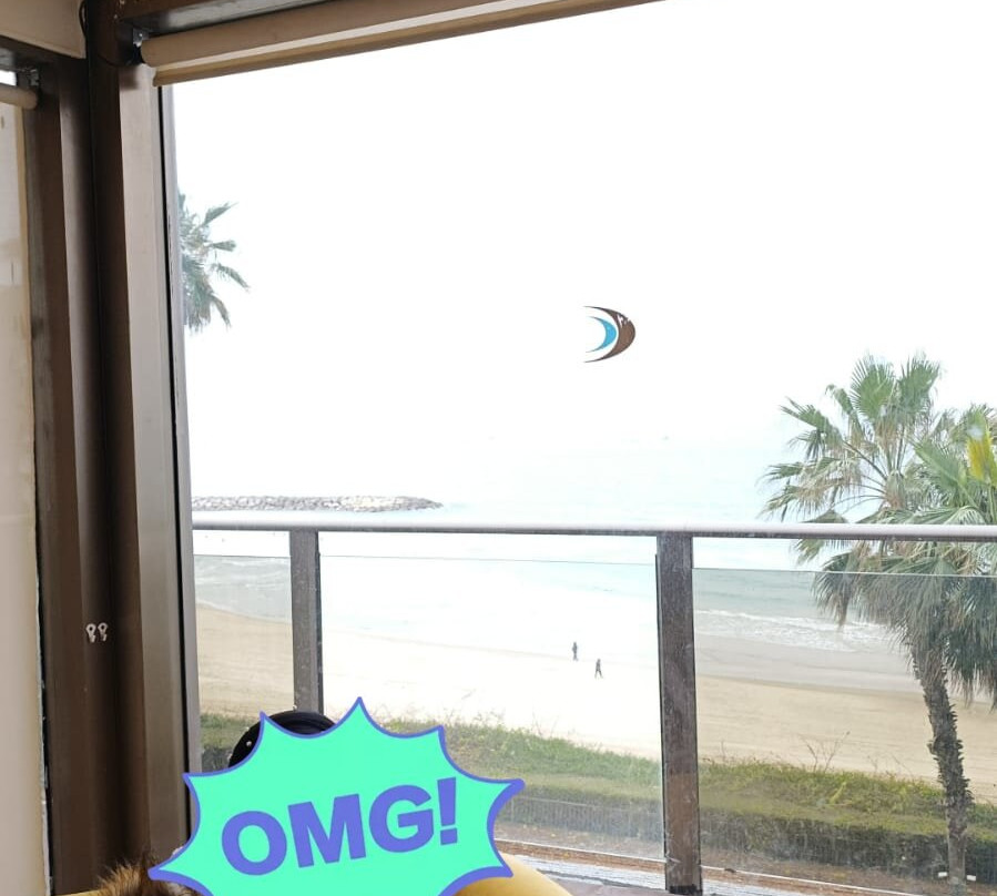 丹尼尔荷兹利亚酒店主图