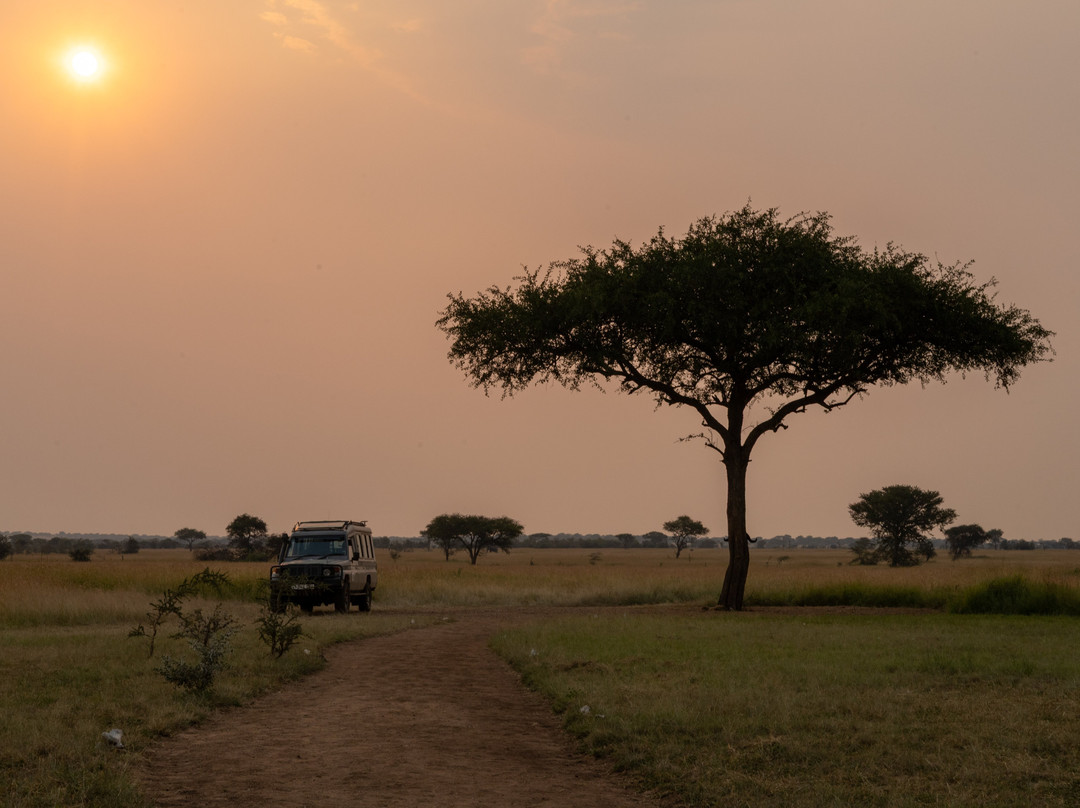 Glimpse of Africa Tented Camp-Ikoma必去景点