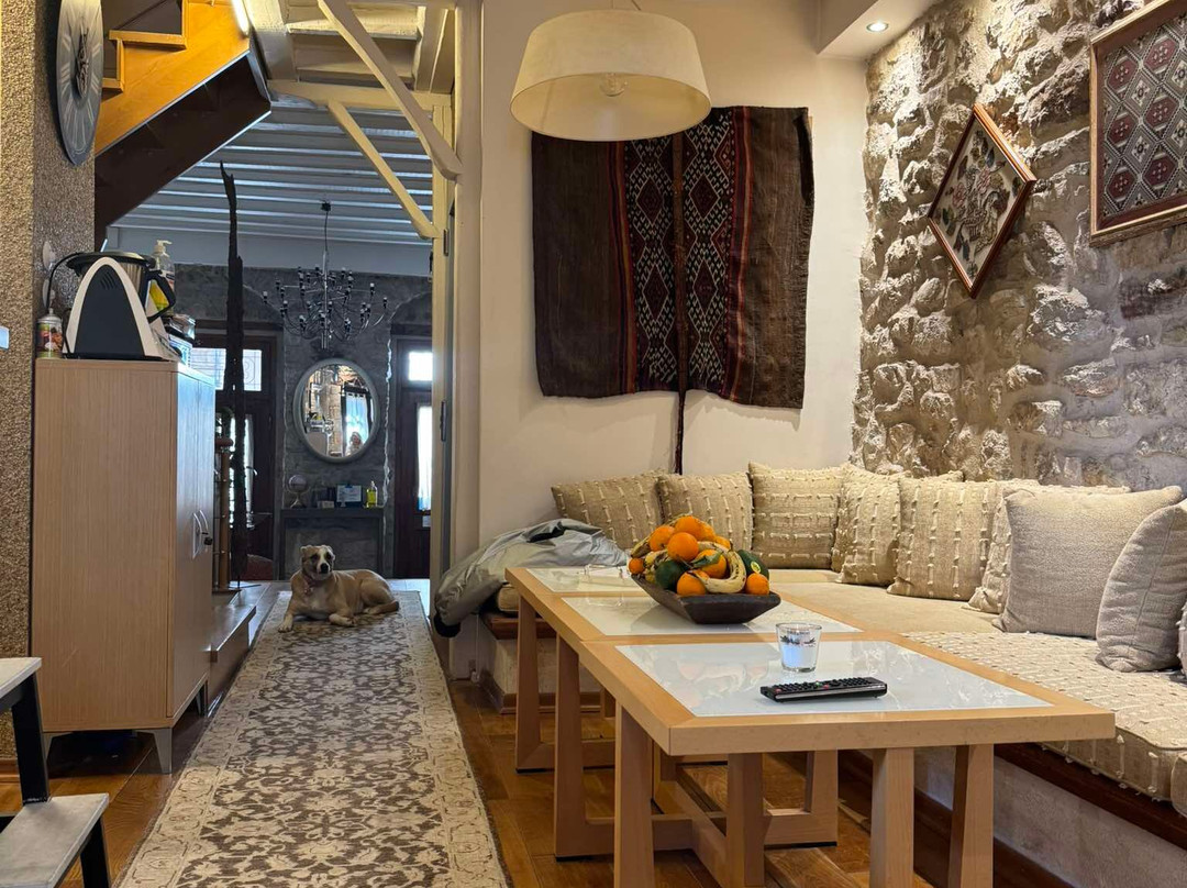 Guesthouse Theonimfi主图