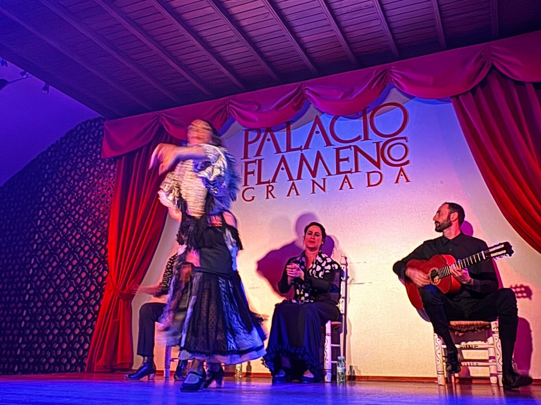 Palacio Flamenco景点图片