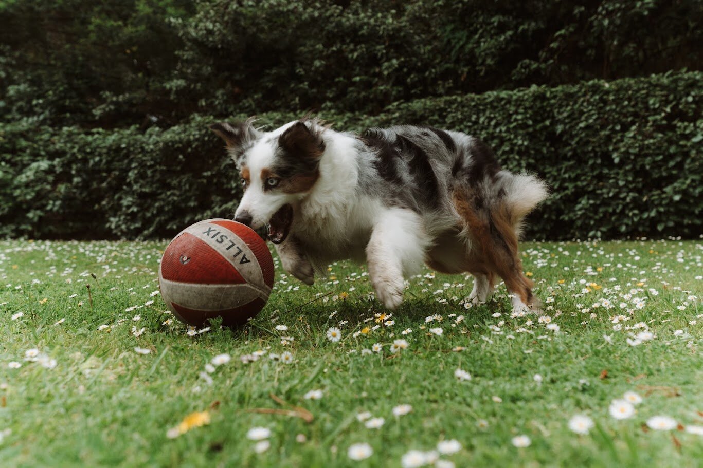 Hôtel Les Fougères - Hossegor-浴室