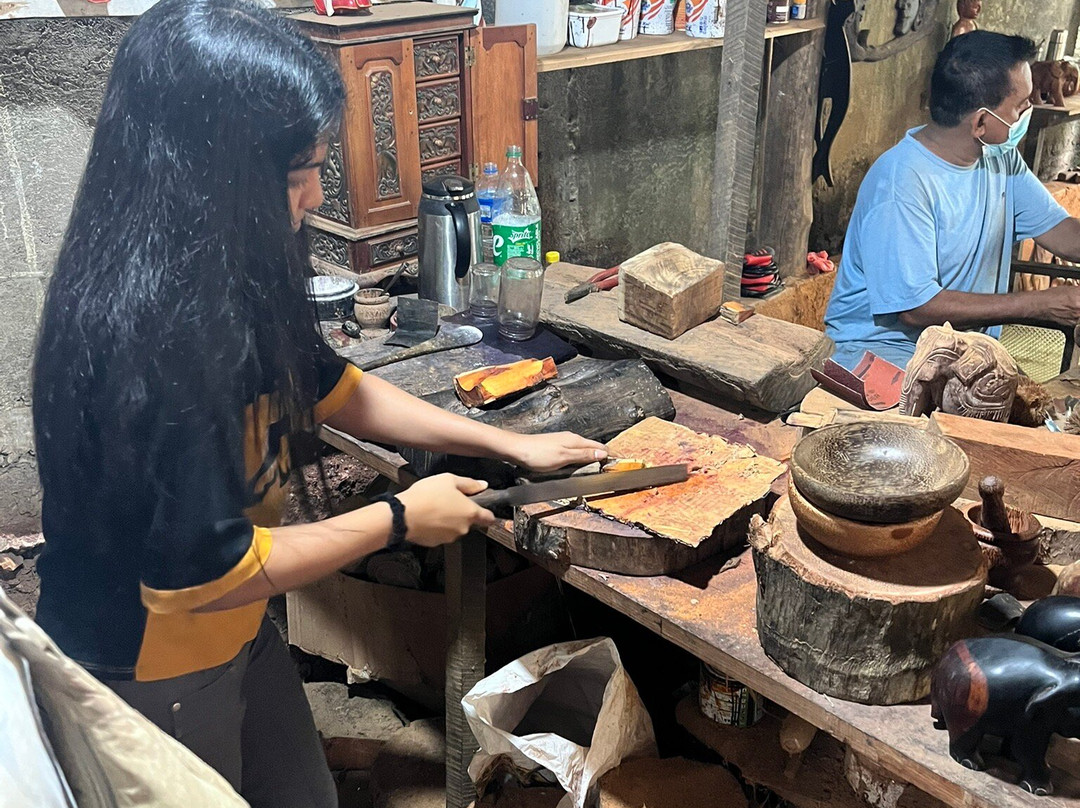 Ayaan Tours Sri Lanka-Katukurunda必去景点