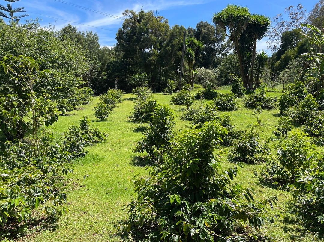 Farm Lodge Country House Hotel主图