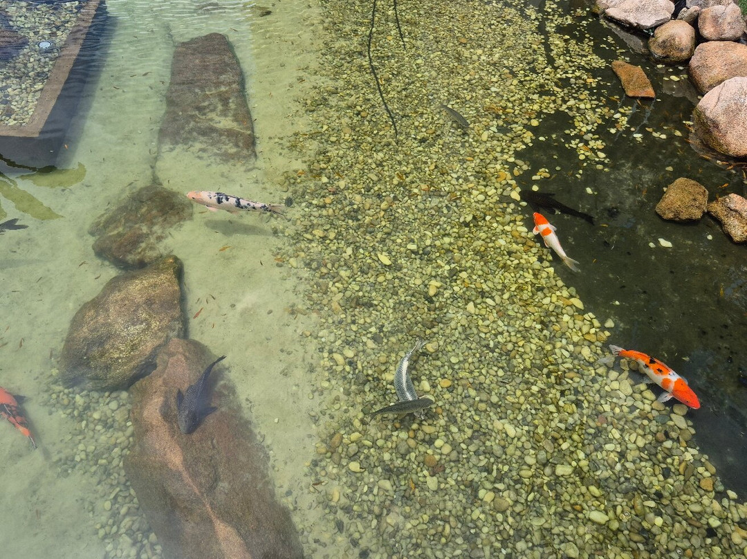 Vinícola Amana-Espirito Santo Do Pinhal必去景点