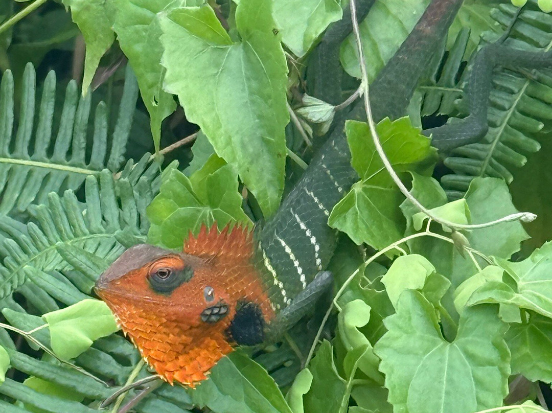 Rosewood Manor主图