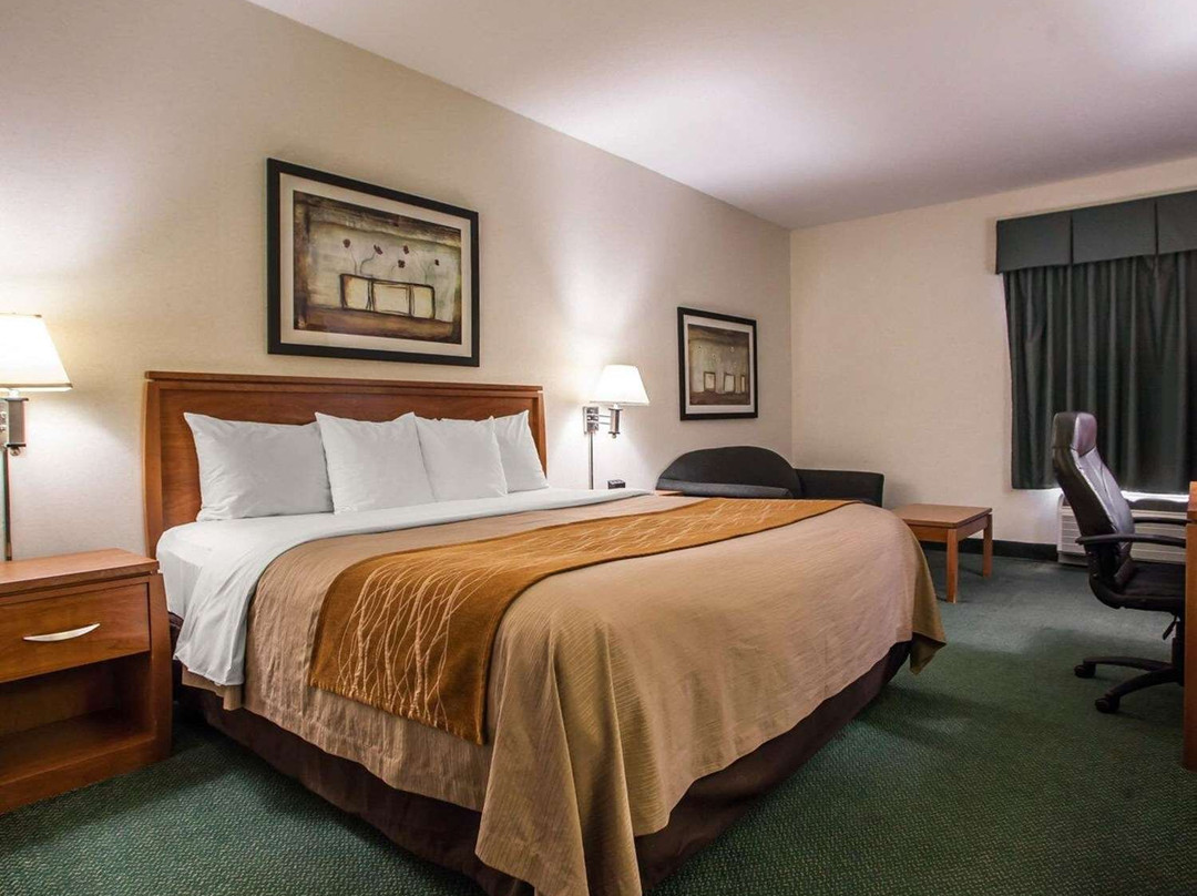 Comfort Inn Alton near I-255主图