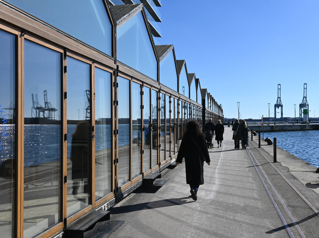Aarhus Øje-欧胡斯必去景点