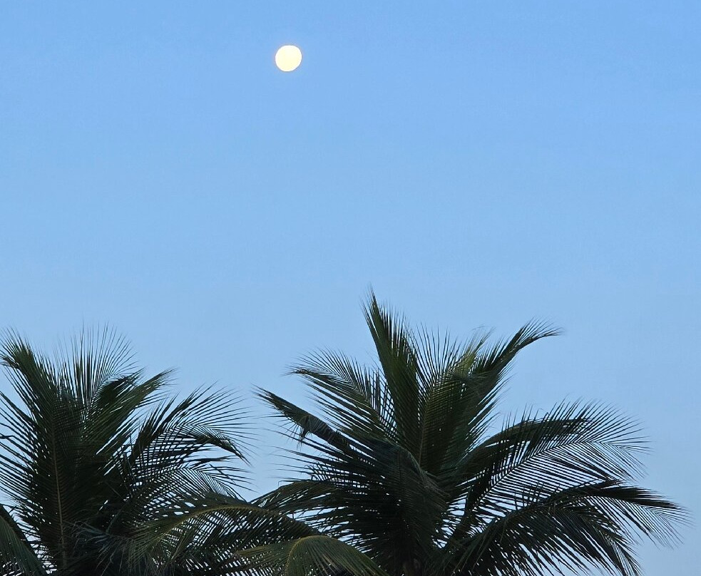 Camburi Beach景点图片