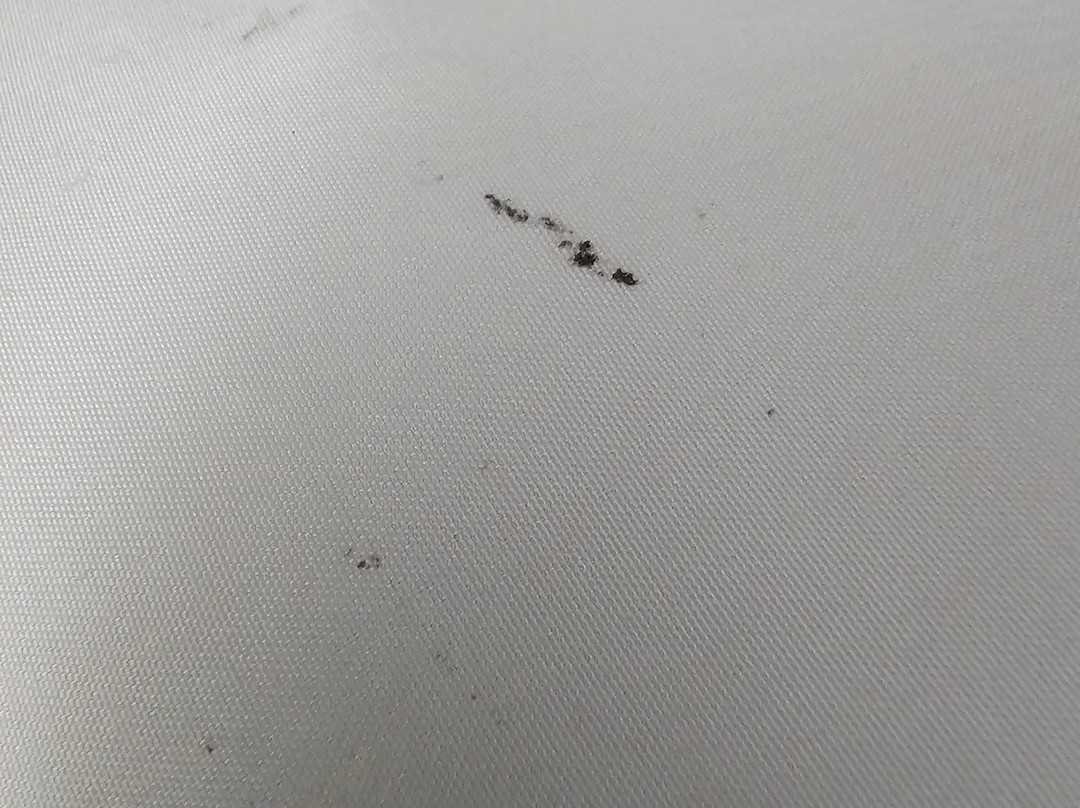 Days Inn by Wyndham Roanoke Near I-81主图