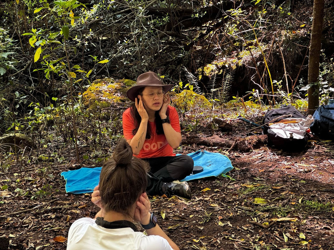 Unfolia-Naucalpan必去景点