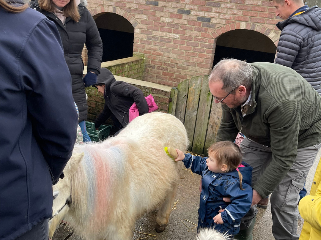 Big Sheep & Little Cow-Bedale必去景点
