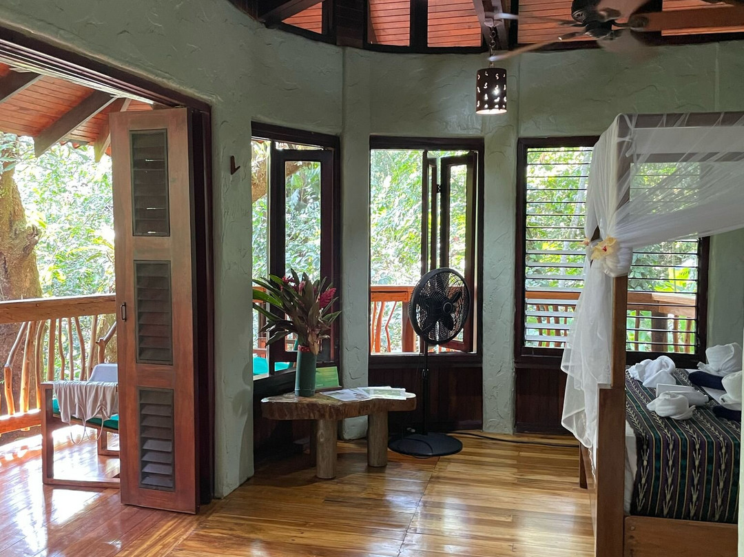 普拉亚尼库伊萨雨林旅馆主图