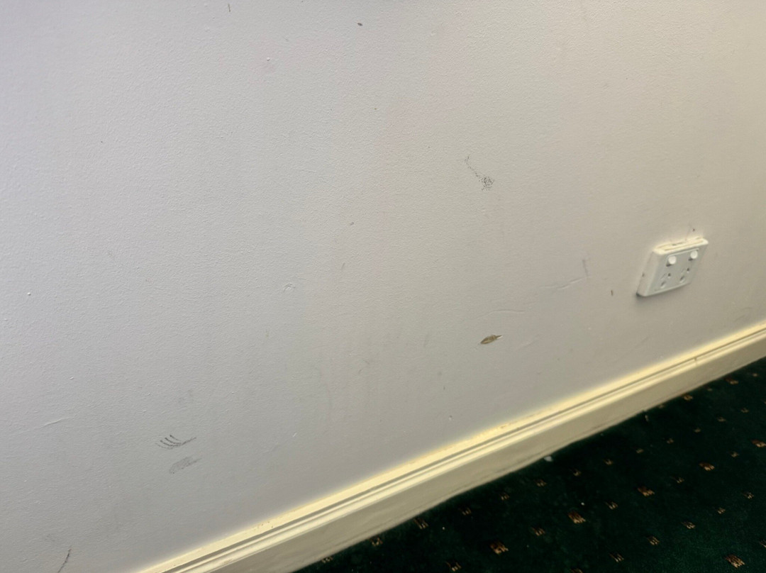 诺斯布莱奇酒店主图