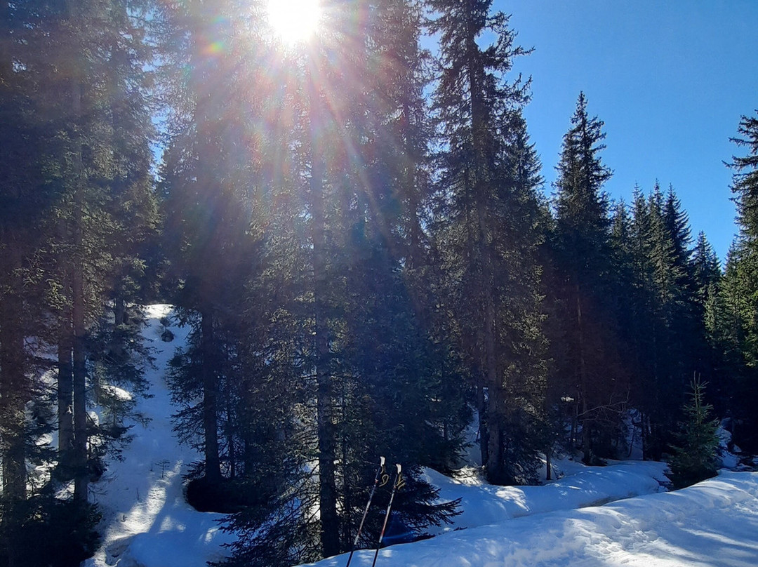 Val Venegia e Baita Segantini景点图片