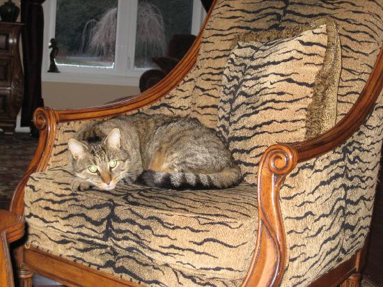 Jabberwock Guesthouse主图