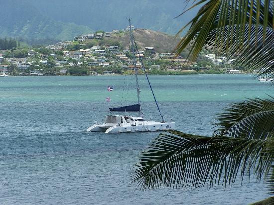 阿洛哈天堂客栈主图