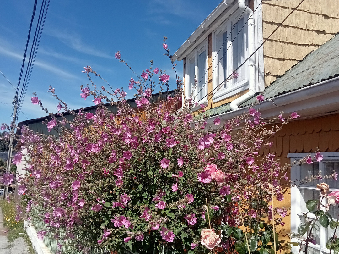 Plaza de Armas de Ancud-Ancud必去景点