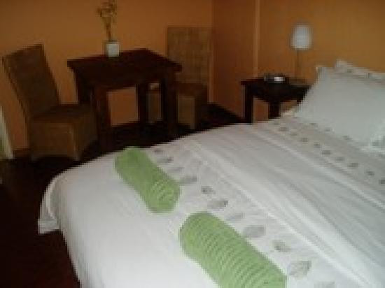 The Lounging Lizard B&B主图