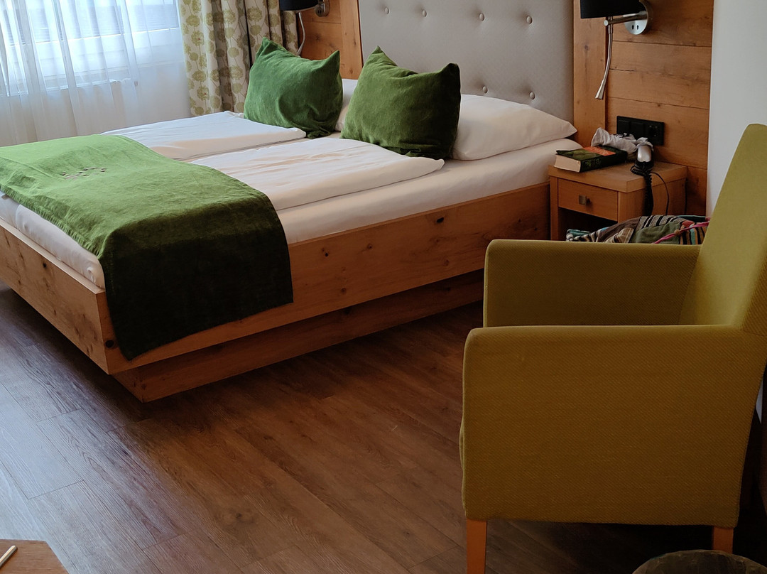 Hotel Grüner Baum主图