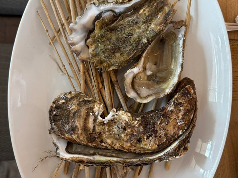 Dittmeyer's Austern Compagnie Sylt