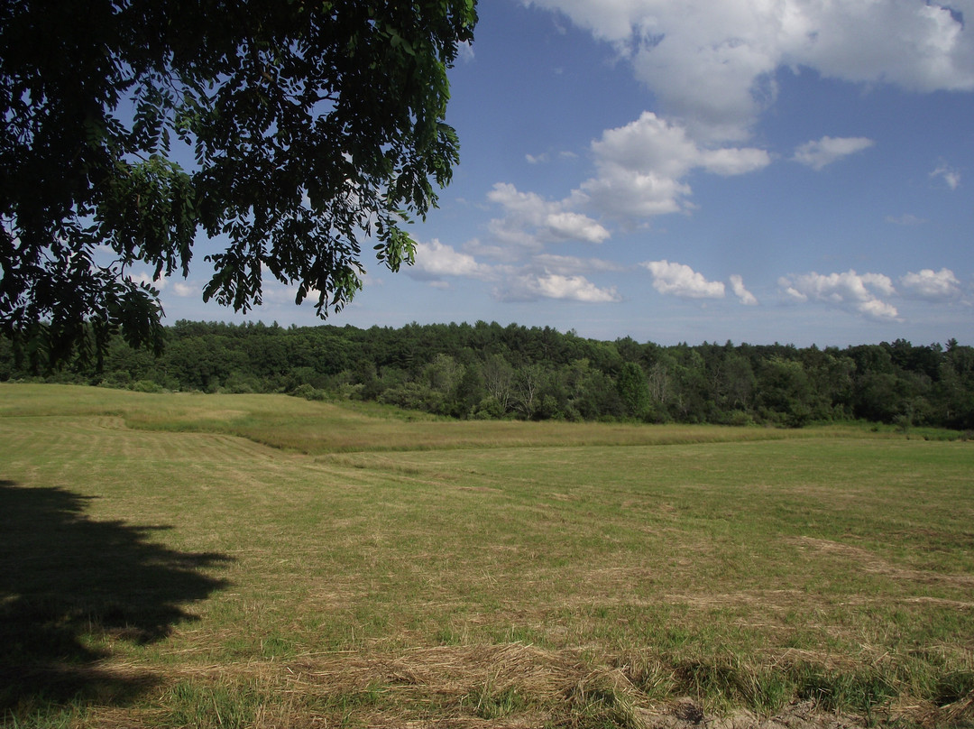Bellamy River Wildlife Management Area-Dover必去景点