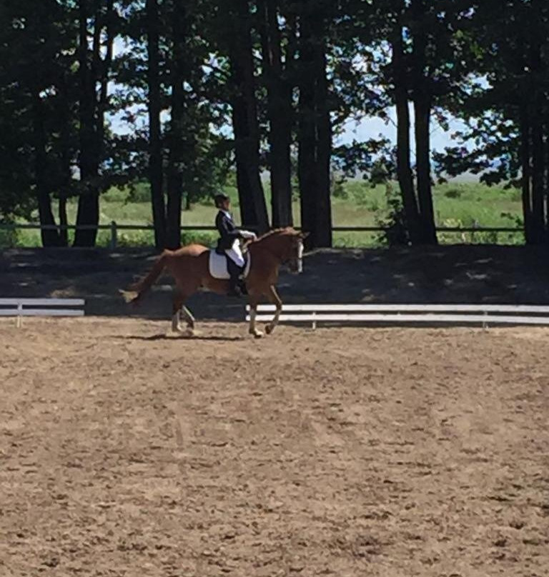 Sassi Talu Horsefarm