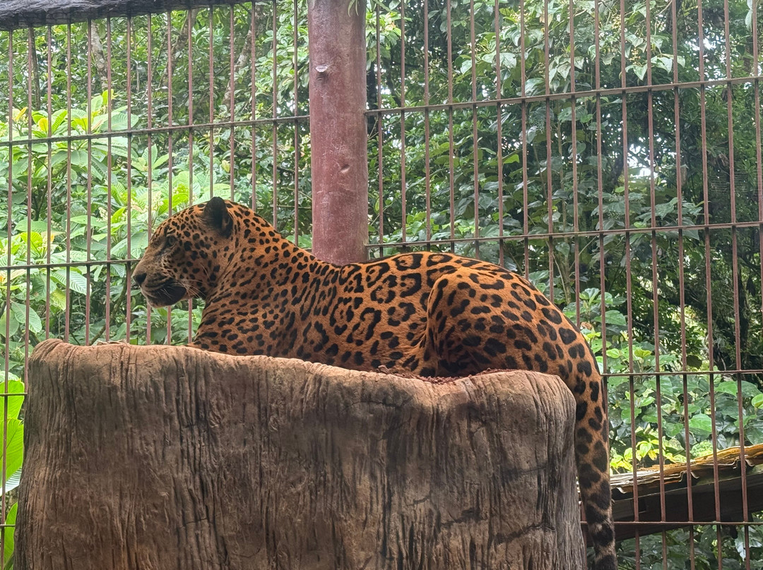 Tico Travel Adventures-圣何塞必去景点