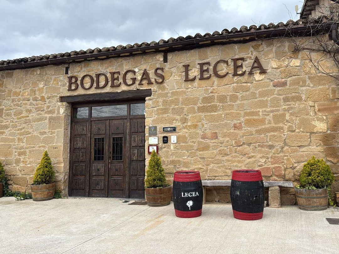 Bodegas Lecea景点图片