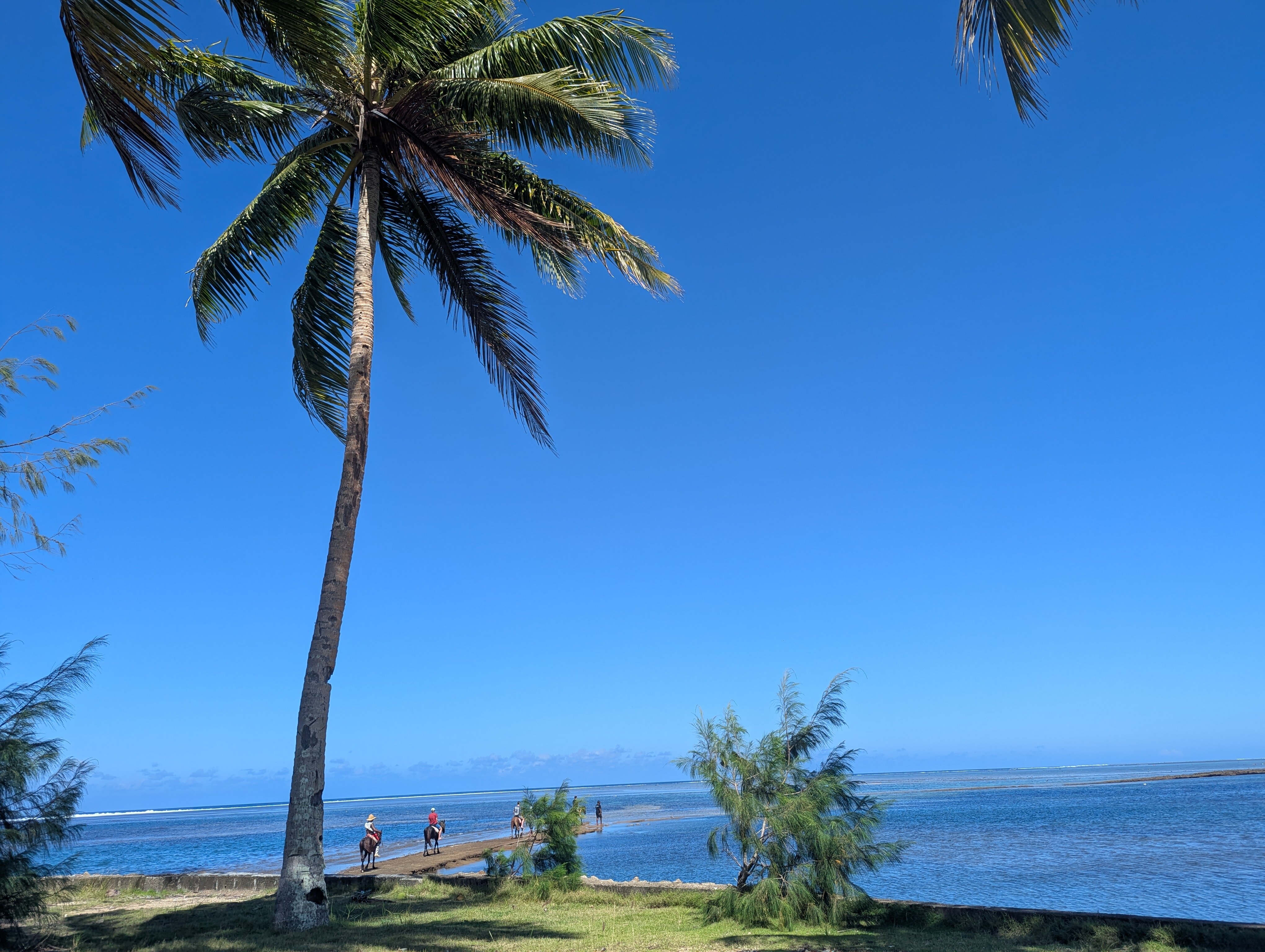 纳维蒂度假村-泳池