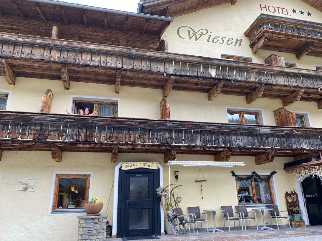 Hotel Wiesenhof主图