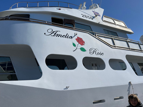 Sea Trips Reykjavík-雷克雅未克必去景点