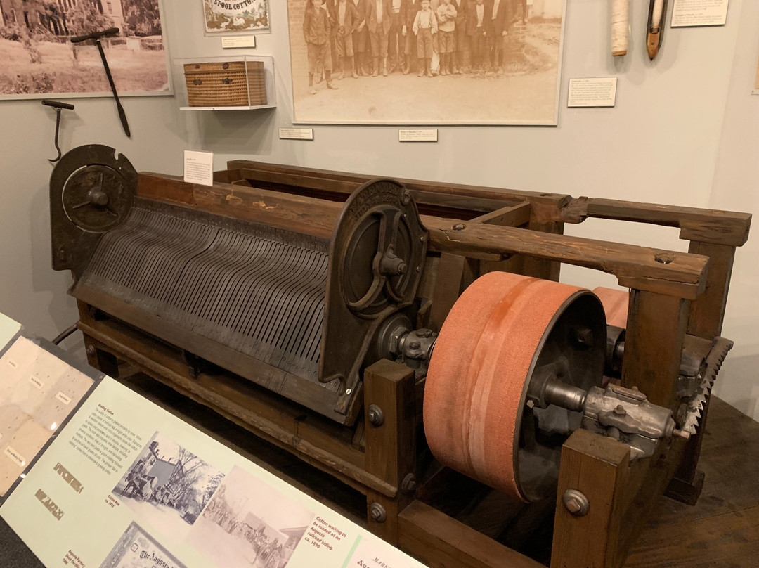 Augusta Museum of History-奥古斯塔必去景点