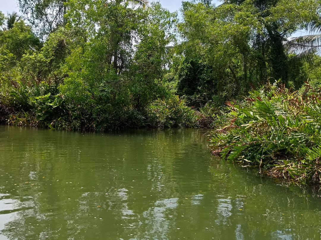 Birthplace of Sri Adi Shankara-Kalady必去景点