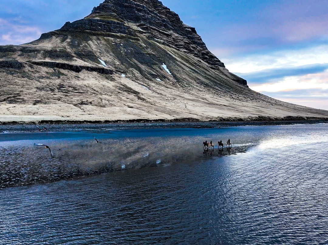 Kirkjufell Horse Center-格伦达菲厄泽必去景点