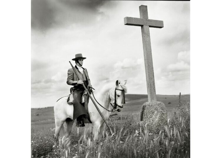 Taberna Monroy主图