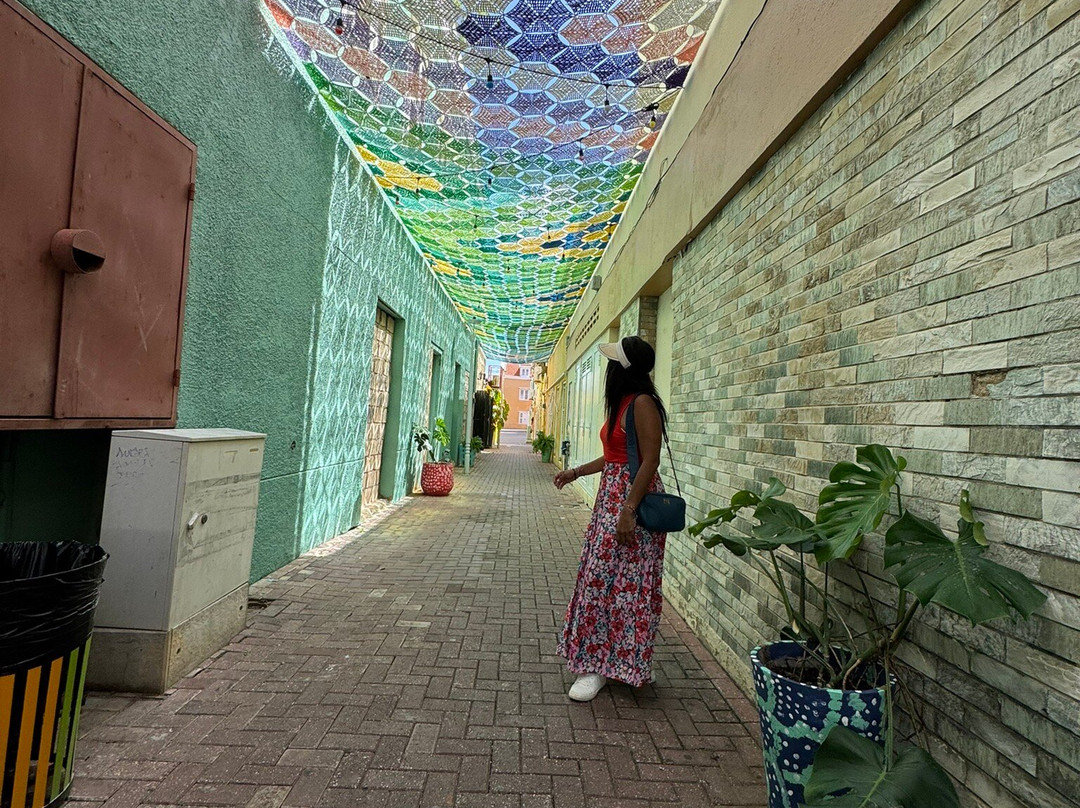 Rumba Tours Curaçao-威廉斯塔德必去景点