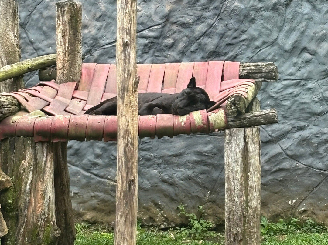 Gramadozoo-格拉玛多必去景点