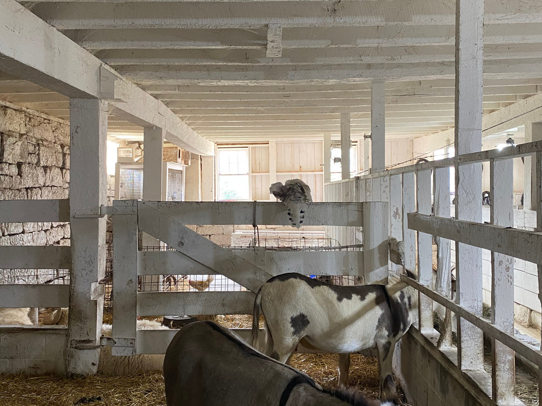 Yoder's Amish Home-Millersburg必去景点