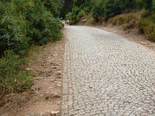 Buyukada Tabiat Parki-布尤卡达必去景点