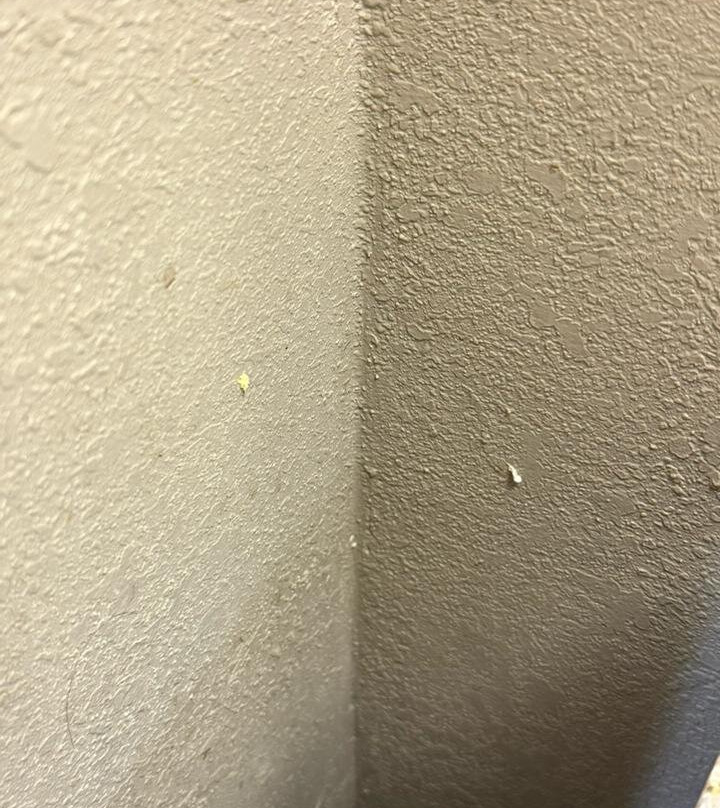 Comfort Inn SW Omaha I-80主图