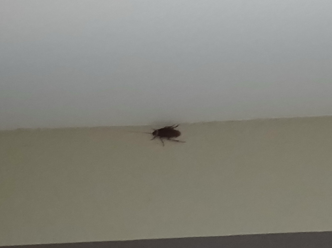 La Quinta Inn & Suites by Wyndham Marble Falls主图