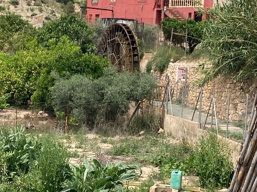 Ruta de las Norias-Abarán必去景点