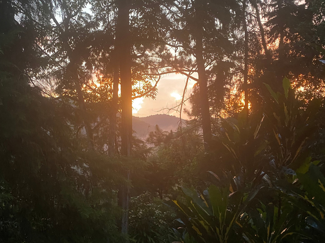 Villa Republic Bandarawela主图